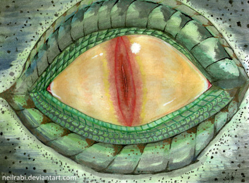 reptilian_eye_watercolor_by_neilrabi-500