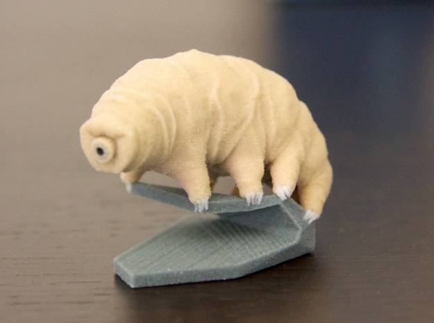EricHo_tardigrade