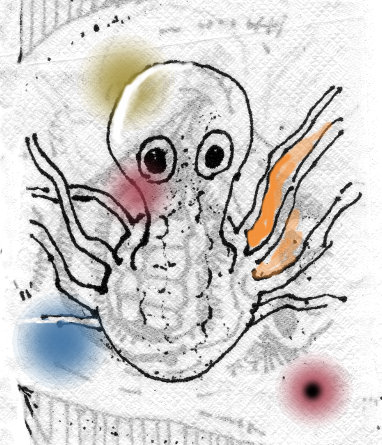 octopoid