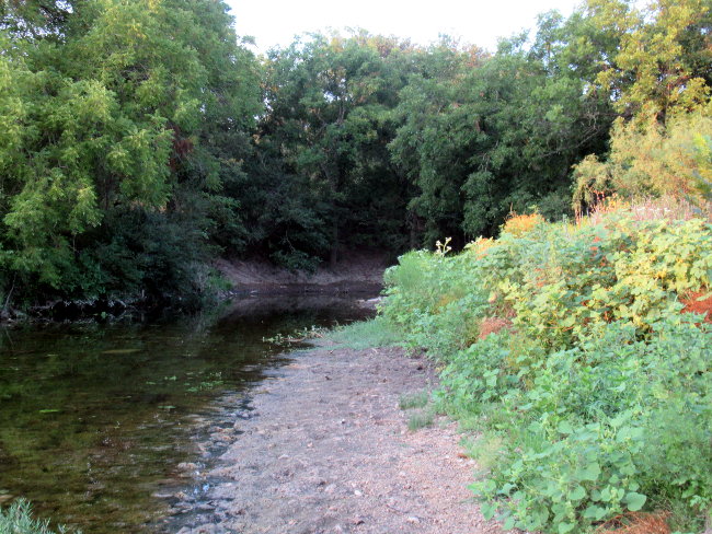 creek2