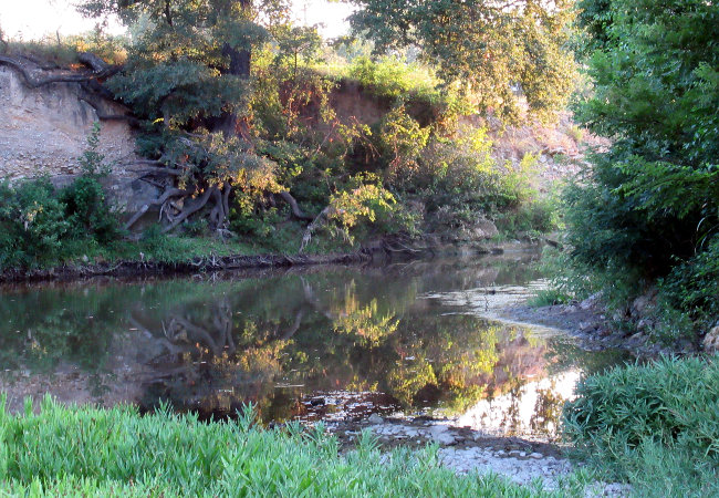 creek_cropped_autoleveled650w