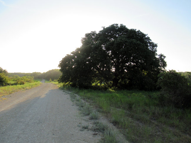 oak_road_autoleveled650w