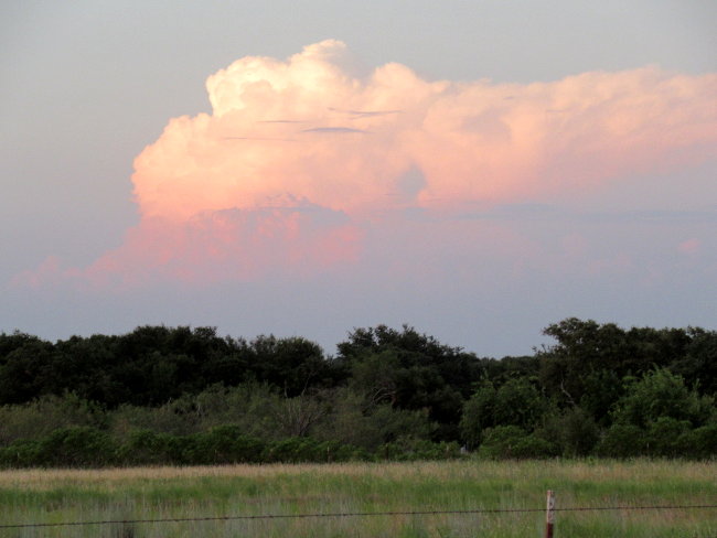 treeline and cloud