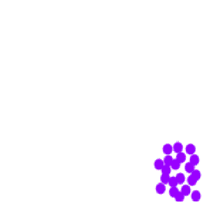 purple_dots_flip