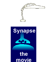 synapse_lamp