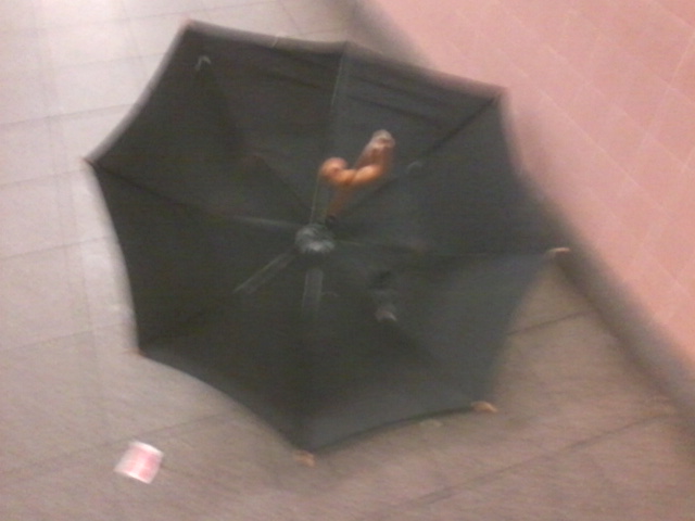 umbrella