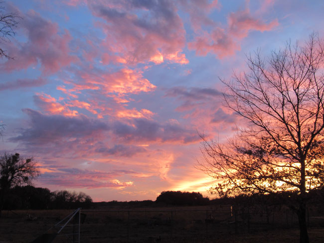 sunset (12-28-19)