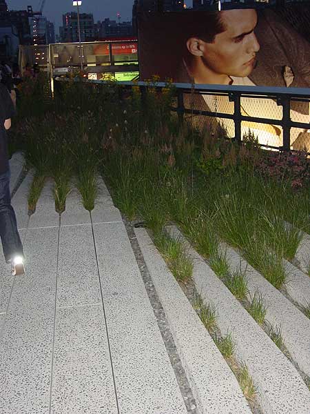 high line (flash)