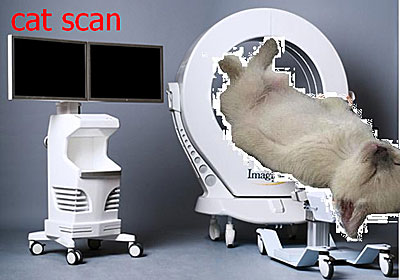 cat_scan
