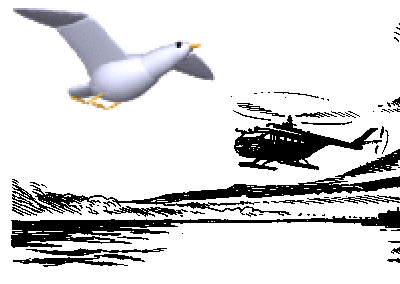 seagull_copter