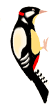 1277359571874-dumpfm-jertronic-woodpecker