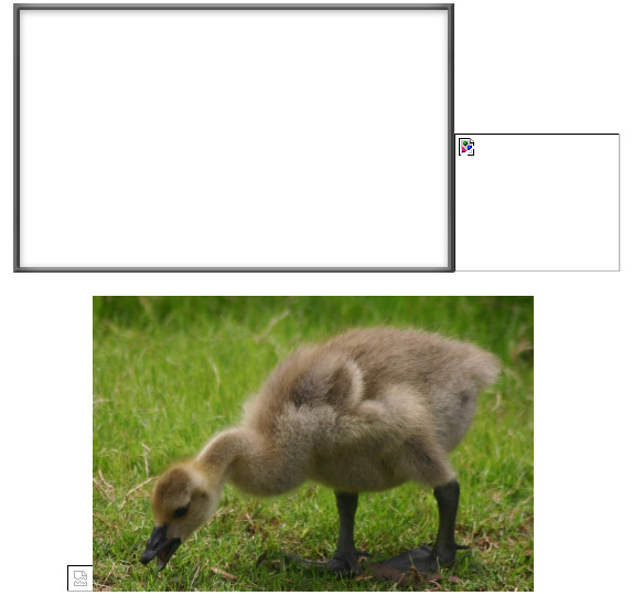 frames_gosling