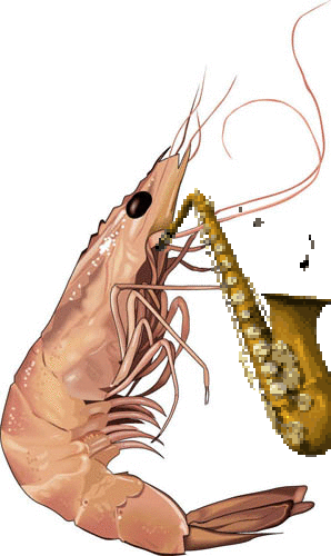Dadayumn-cajun-shrimp
