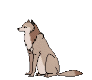 zwolf-flywolf2