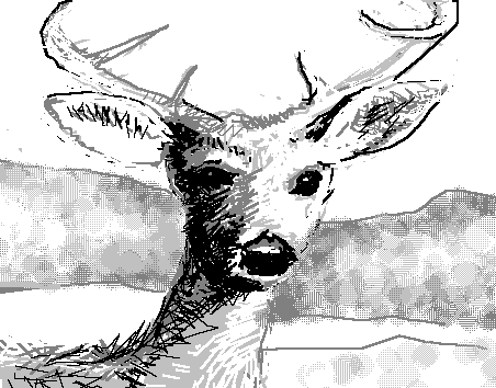 wherethedeer_screenshot_deer