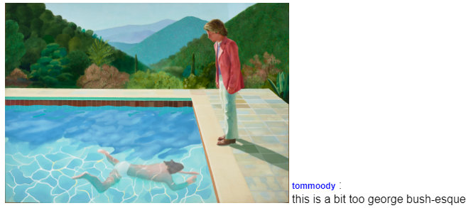 bushesquehockney