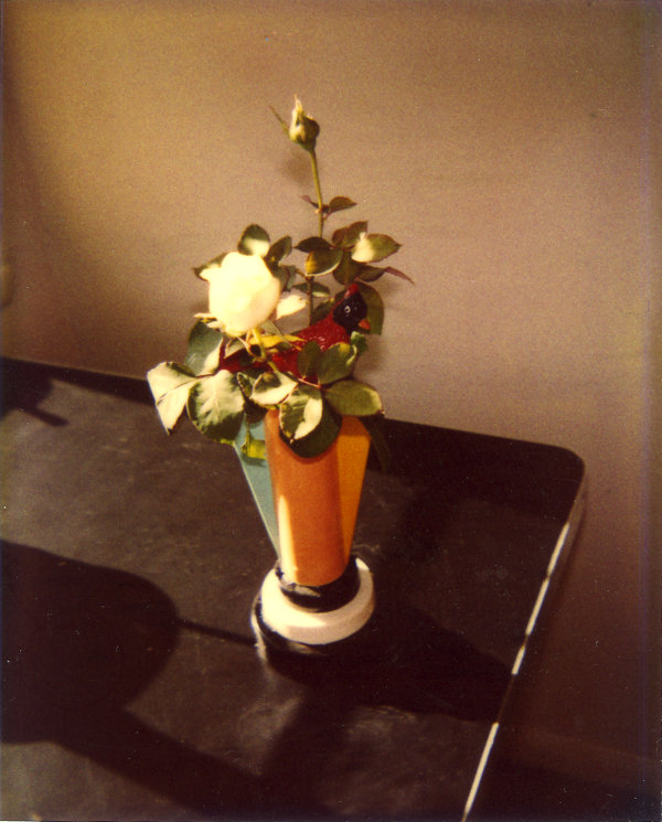 roses_1987_polaroid