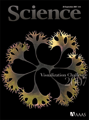 Science Magazine Oct Cover
