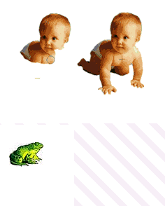 babies_frog