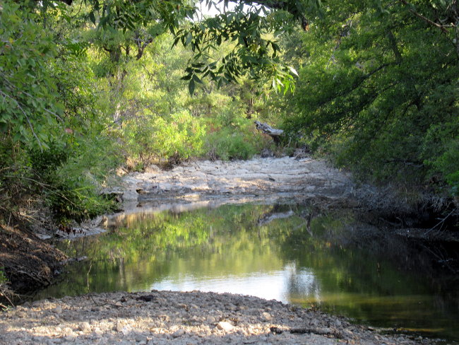 creek (4)