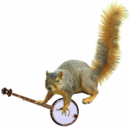 squirrel_with_banjo